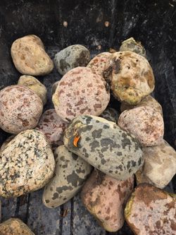 Can't beat this deal on landscape rocks!