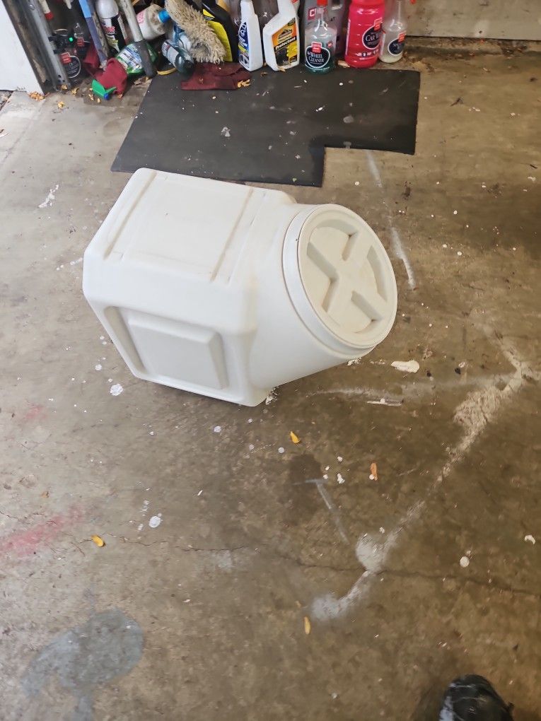 Pretty Food Container