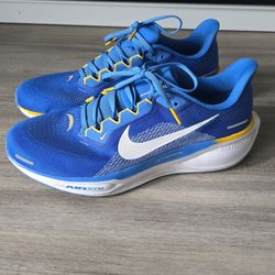 Men's Nike Pegasus 41 Chargers