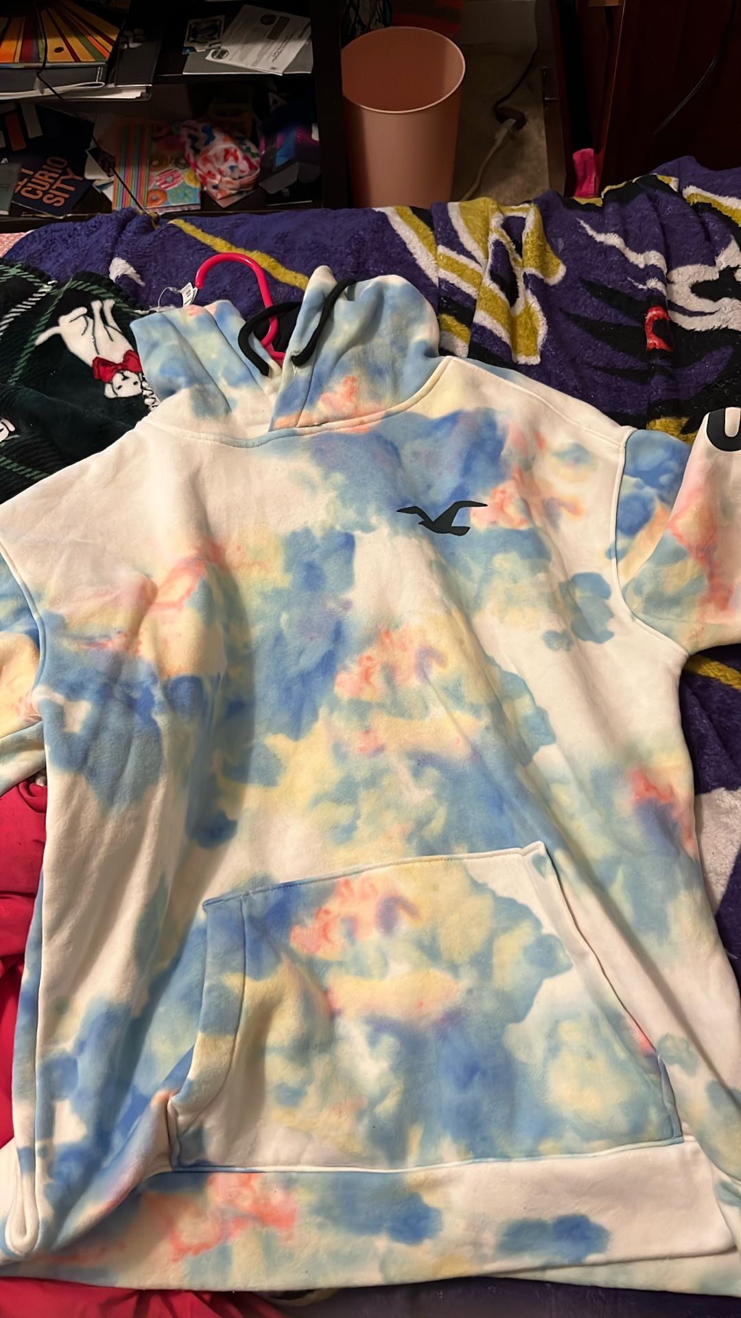Hollister Men Hoodie
