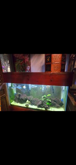 Fish, tank and cabinet