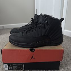 Jordan 12 Winter