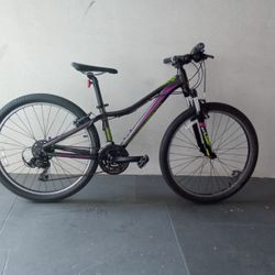 BICYCLE LIV GIANT 21 SPEED SIZE 26 BRAND NEW 