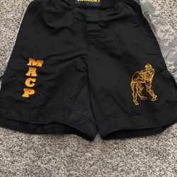 Modern Army Combatives Program (MACP) shorts