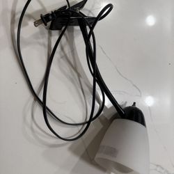 Lamp With Desk Clamp