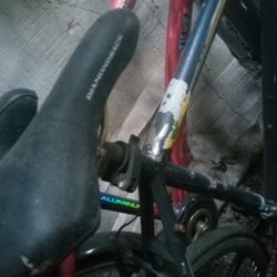 Bike Classic  Sick Frame Light Weight (Obo)