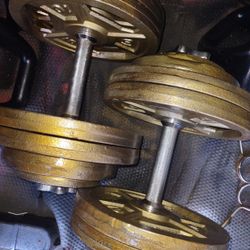 65lb Dumbbells Pair