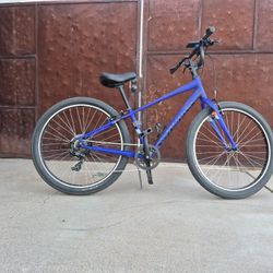 Spectacular Specialized ROLL  Aluminum Street Cruiser 7 Speed