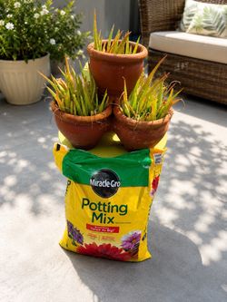 Full Pallet of Miracle-Gro Potting Mix – Approx. 50 Bags – $300