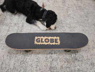 Globe complete freestyle Skateboard  like new