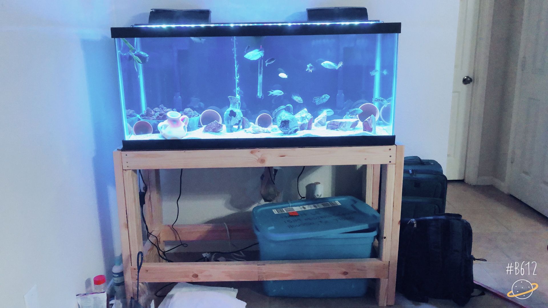 75 gallon fish tank with DIY stand