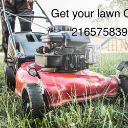 Grass Cut Today 