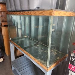Reptile/aquarium tank with stand