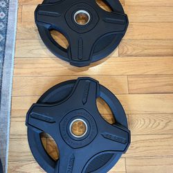 Pair Of X-Mark Signature 45lb Weight Plates 