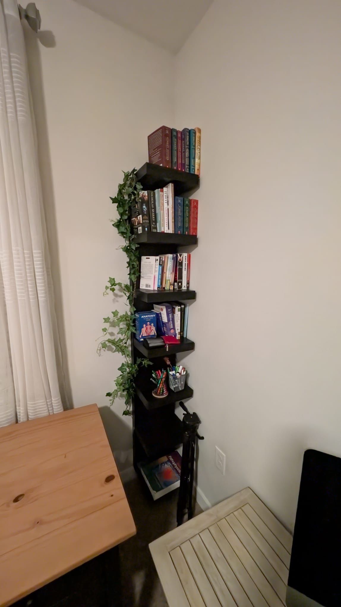 Bookshelves 