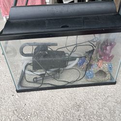 10 Gallon Fish Tank With Accessories 