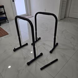 Workout Dip Bars Station