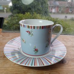 Blue Floral And Striped Tea Cup And Saucer