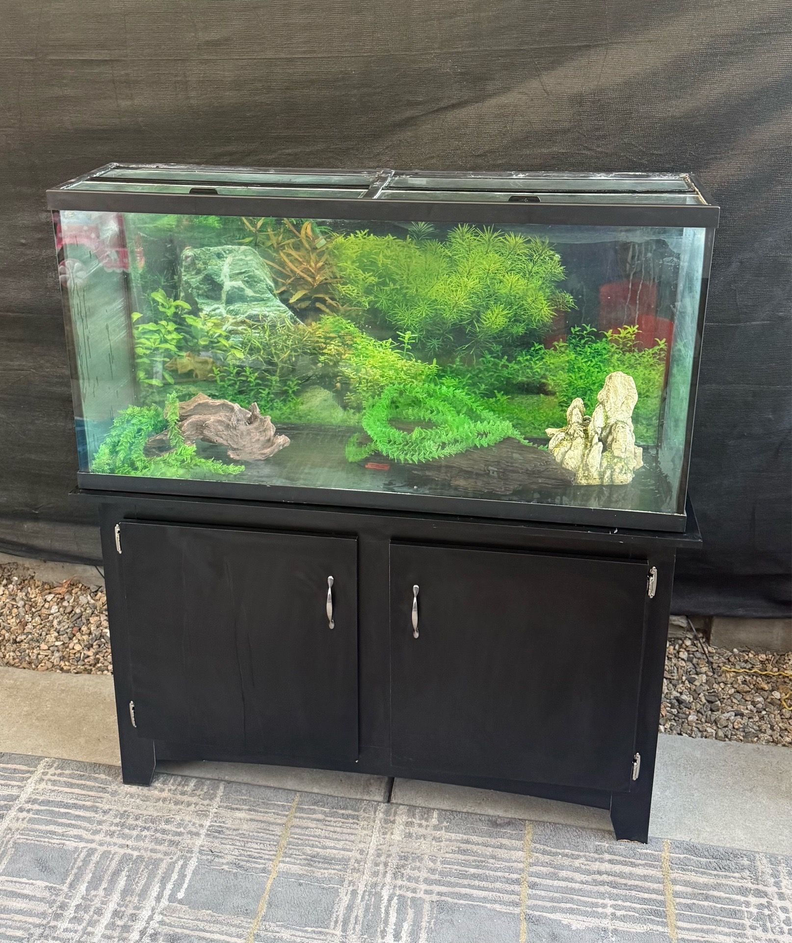 Aquarium For Sale