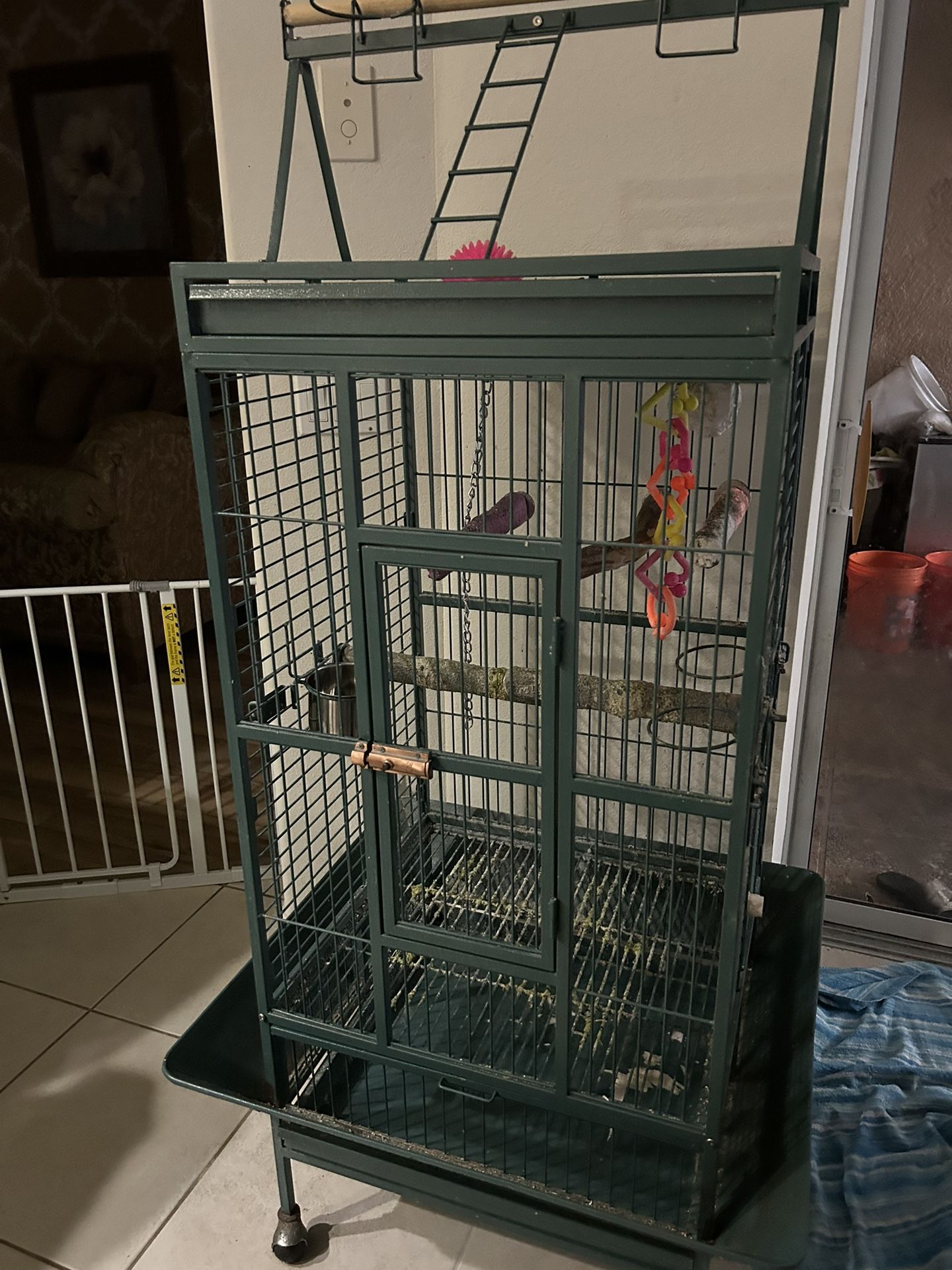 Bird Cage