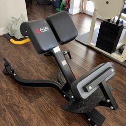 Back Extension Machine