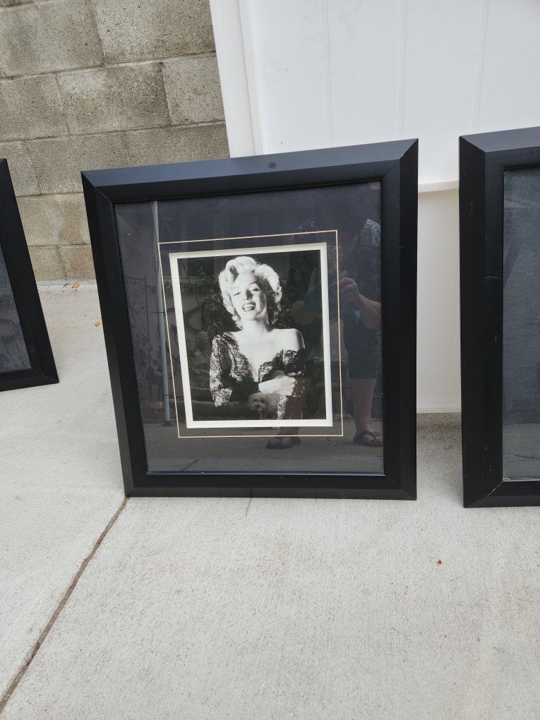 Large Framed Photos