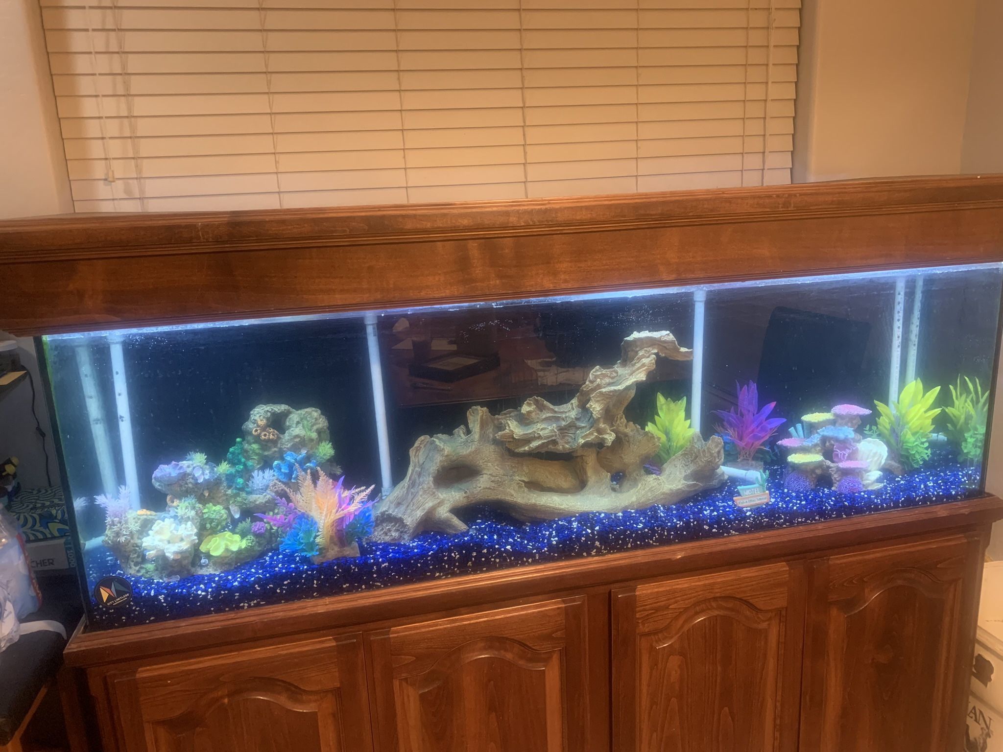 Reduced Again Large Fish Tank