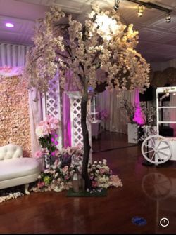 Cherry Bloosom Tree 11 Ft