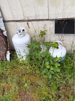 One 10 gallon and 2 5 gallon propane tanks