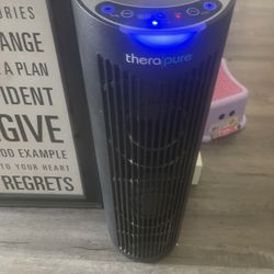 Thera Pure Air Filter