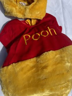 Winney Pooh Costume