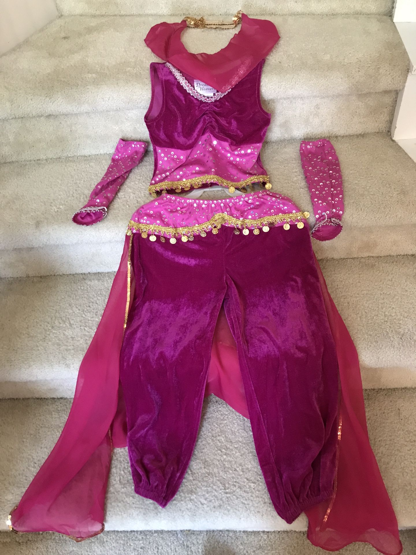 Beautiful Genie Halloween Costume size 8 to 10 good condition