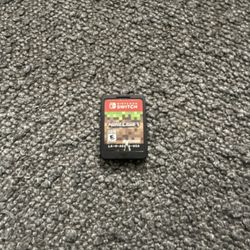 Nintendo Games Minecraft 