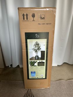 CGH Faux 6.5' Dracaena Tree