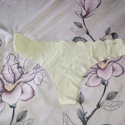 3/$10 🌟 NWOT Seamless Scalloped Edge Soft Pale Green Bikini Danskin Panty Large