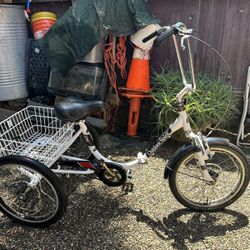 Trike Bicycle 