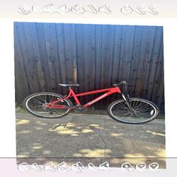 do site Adult Bicycle Comfortable Ride for Everyday Trips