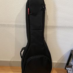 Roadrunner Guitar Gig Bag 