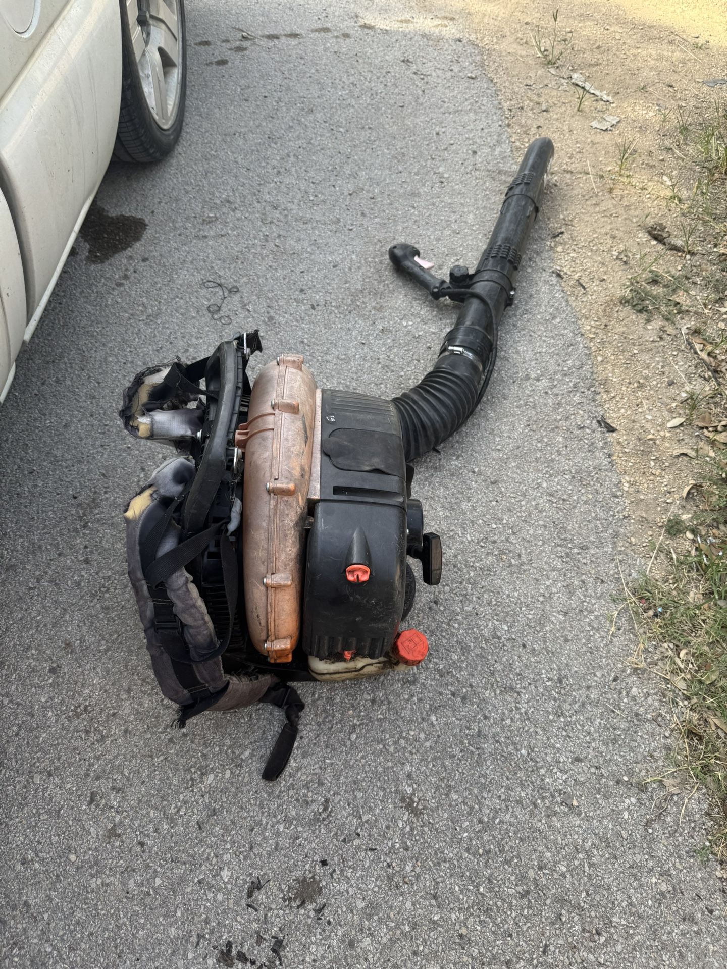 Echo Backpack Leaf Blower 