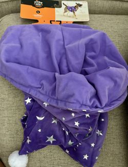 Pet Wizard Costume