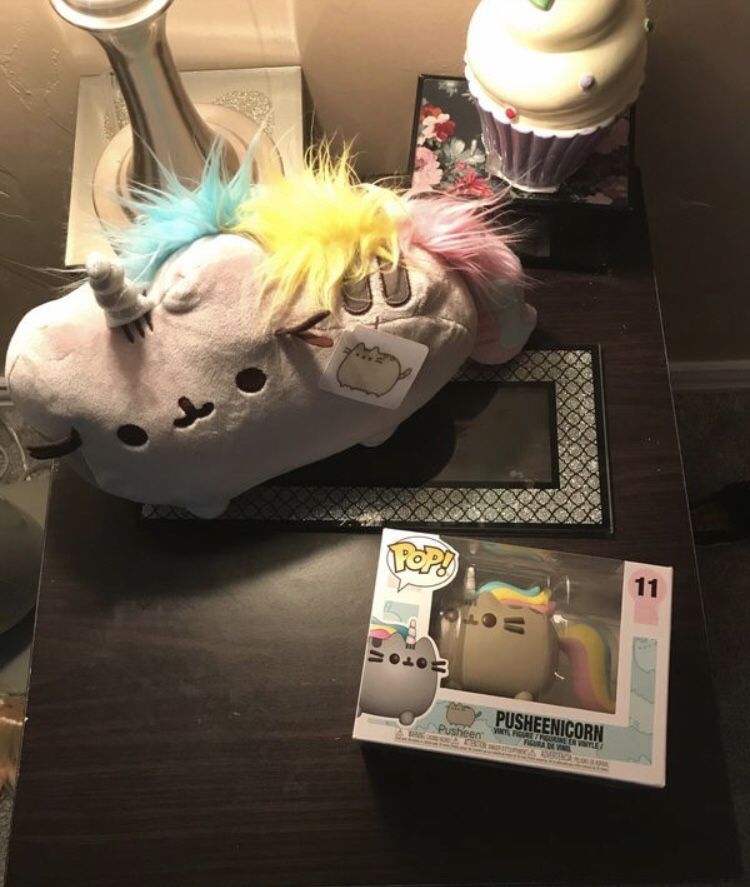 Pusheen cat and figure