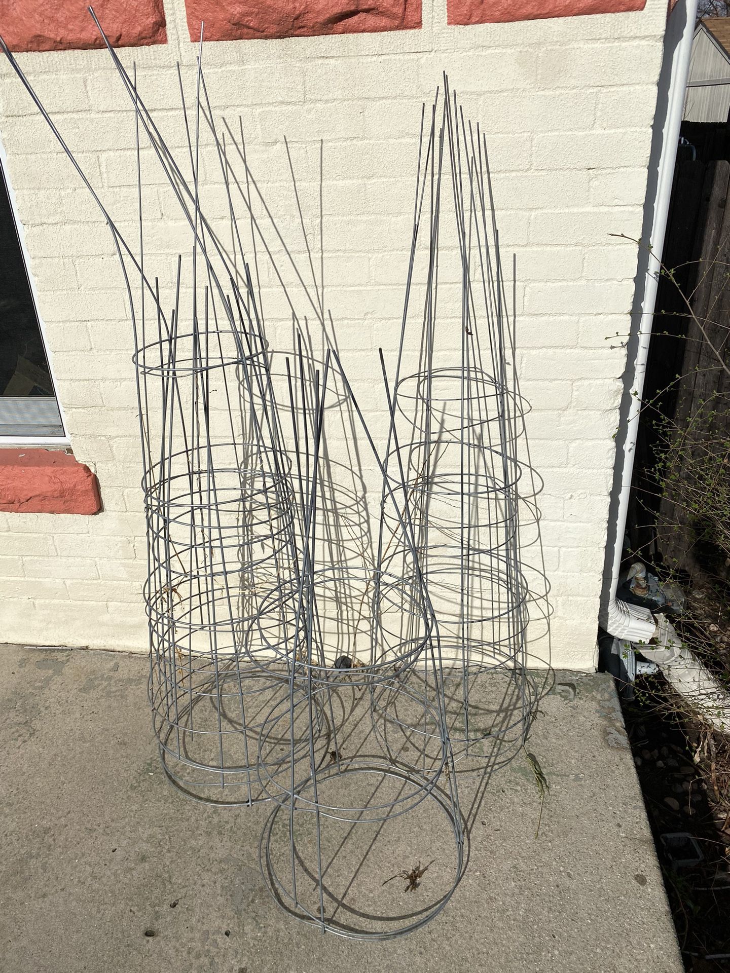 Tomato Cages