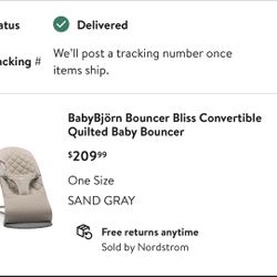 Baby Bouncer 