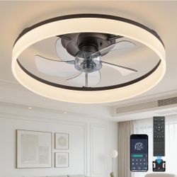 Modern ceiling fan with lights