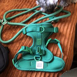 Harness And Crossbody Leash And PooBag Holder