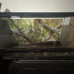Zoo Med 25 Gallon Tank 