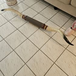 Texas Longhorn Mount