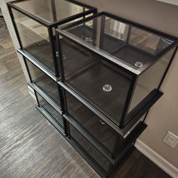 Glass Display Cases (NEW)