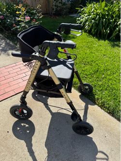 Walker/Wheelchair combo