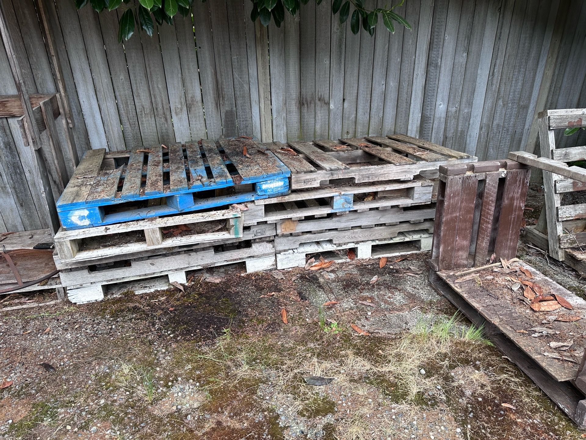 FREE Pallets